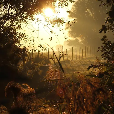 דירה Spiegelhaus *