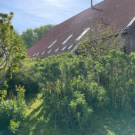 Spiegelhaus * Krummhoern