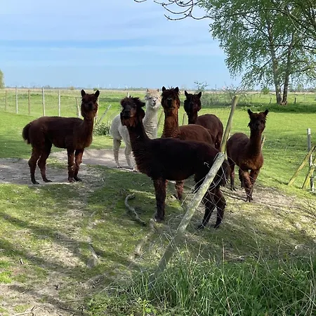 Spiegelhaus Krummhörn