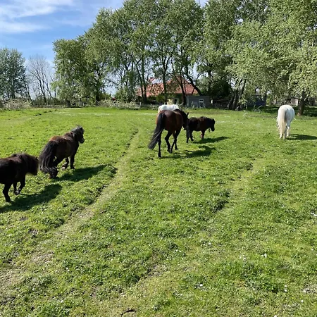 Spiegelhaus דירה Krummhörn