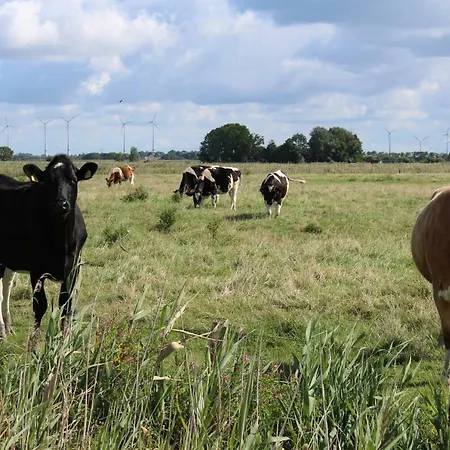 Spiegelhaus Krummhörn