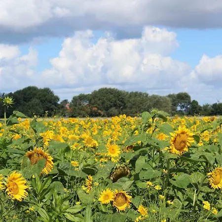 דירה Spiegelhaus