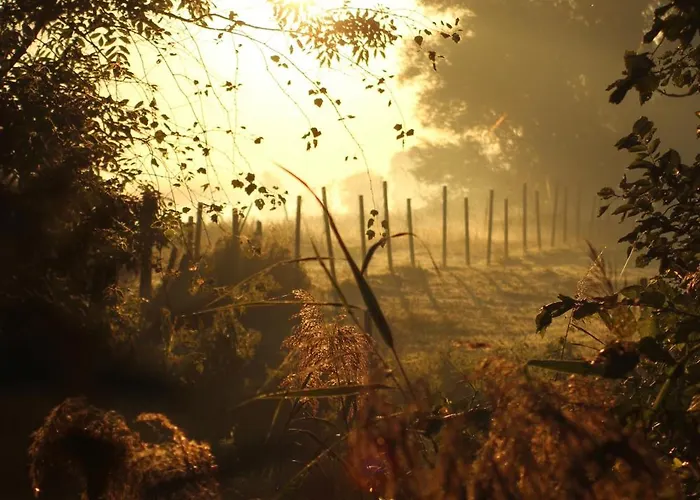 Apartament Spiegelhaus *