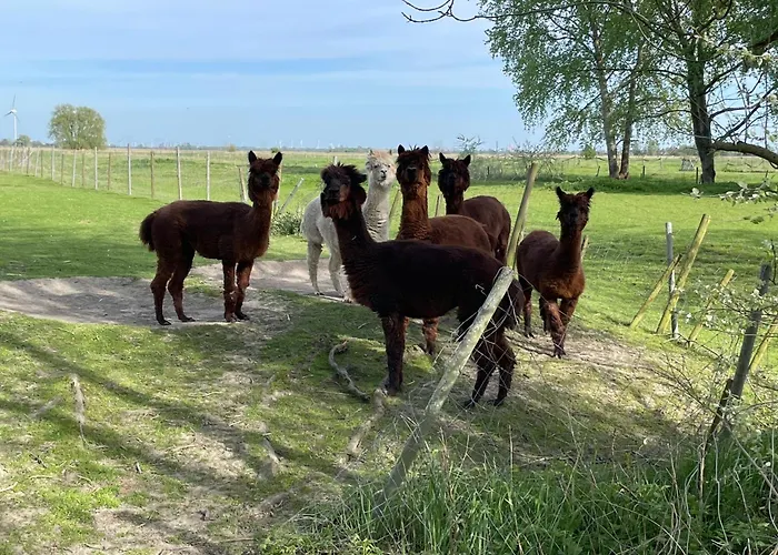 Spiegelhaus Krummhörn