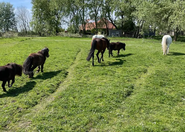 Spiegelhaus Apartamento Krummhörn