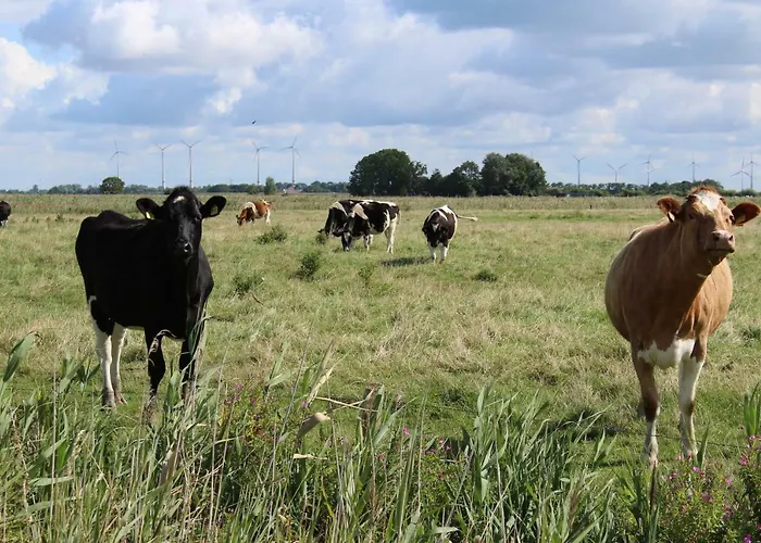 Spiegelhaus Krummhörn