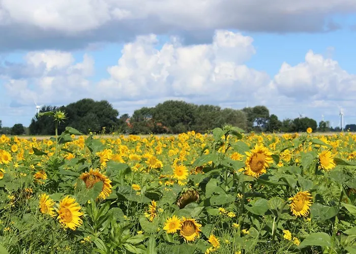 Apartamento Spiegelhaus